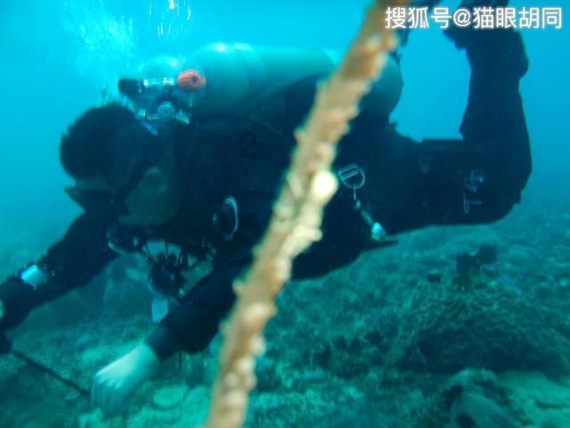 亚洲唯一永久中立国,汗血宝马圣地,水电费不用交、加满一箱油只要5元